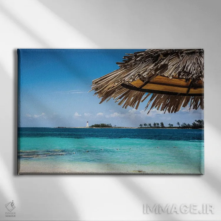 تابلو زیر سایه اثر امیلی ناواس - نمای روبهرو روی دیوار