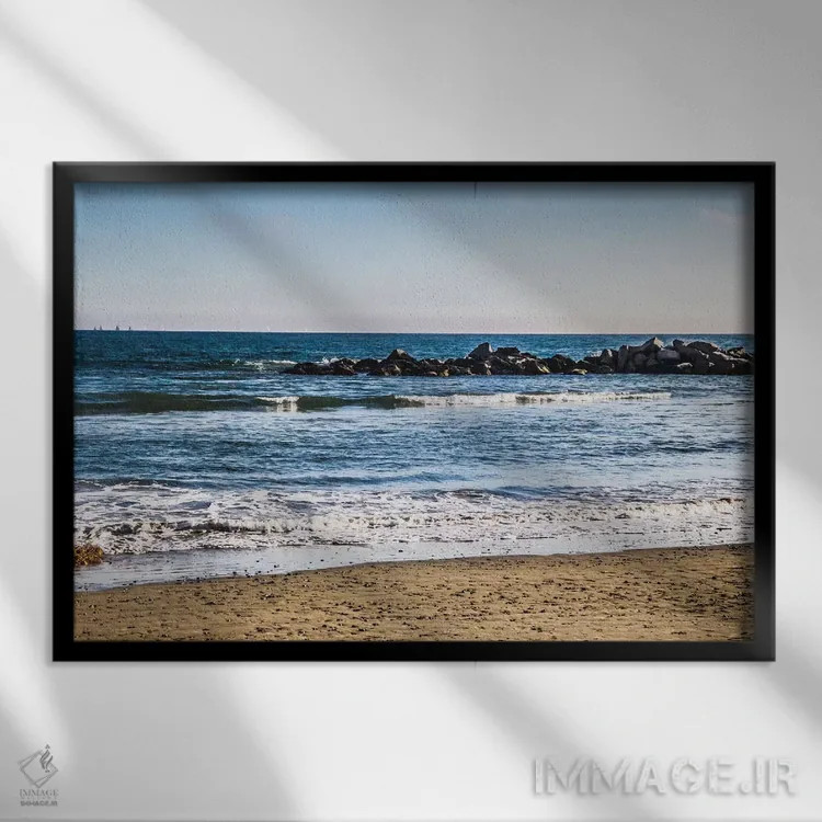 تابلو صخرهٔ مرجانی دوردست I اثر امیلی ناواس - نمای قابدار مشکی