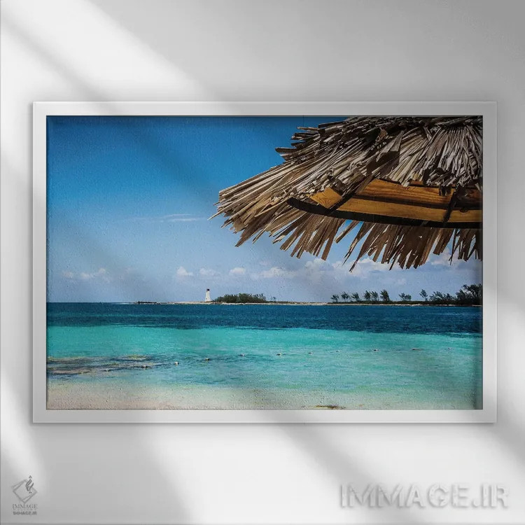 تابلو زیر سایه اثر امیلی ناواس - نمای قابدار سفید