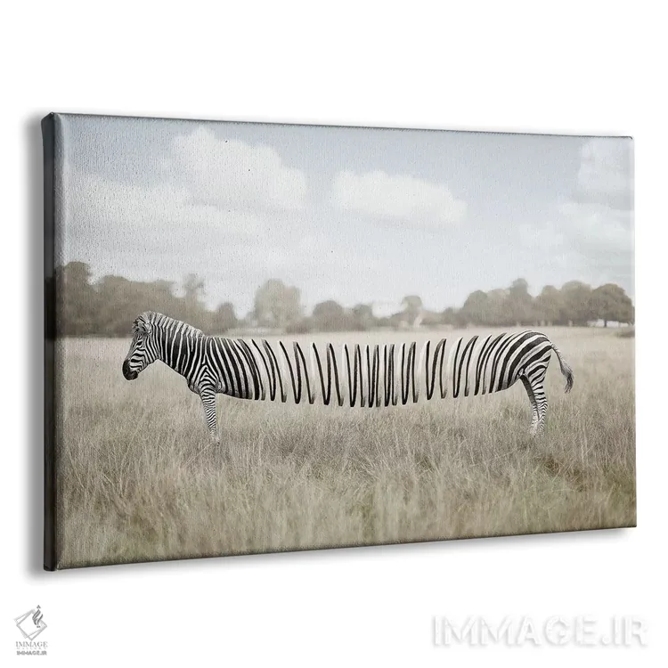 تابلو مرد بانمک (یا آدم مارپیچی) اثر ایان.پیاس (استودیو یا امضای هنری) - نمای پرسپکتیو محصول