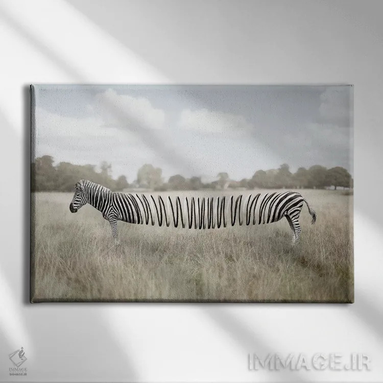 تابلو مرد بانمک (یا آدم مارپیچی) اثر ایان.پیاس (استودیو یا امضای هنری) - نمای روبهرو روی دیوار