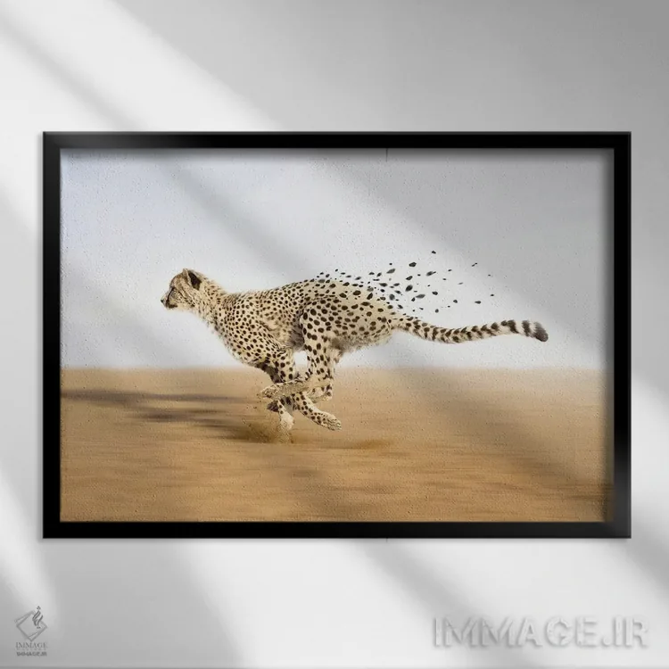 تابلو فراتر از مرزها اثر ایان.پیاس (استودیو یا امضای هنری) - نمای قابدار مشکی