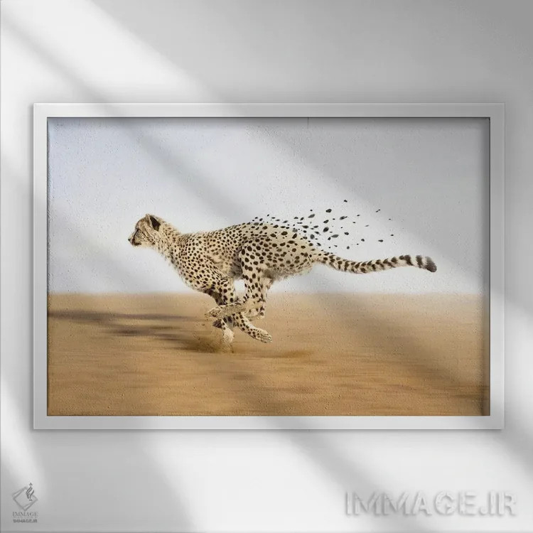 تابلو فراتر از مرزها اثر ایان.پیاس (استودیو یا امضای هنری) - نمای قابدار سفید