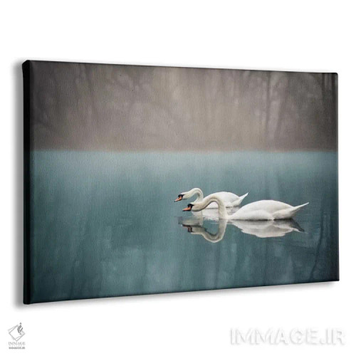 تابلو رودخانه قوها اثر انزو رومانو - نمای پرسپکتیو محصول