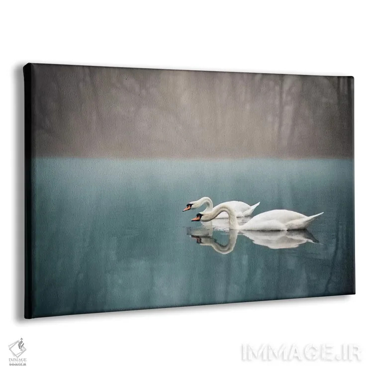 تابلو رودخانه قوها اثر انزو رومانو - نمای پرسپکتیو محصول