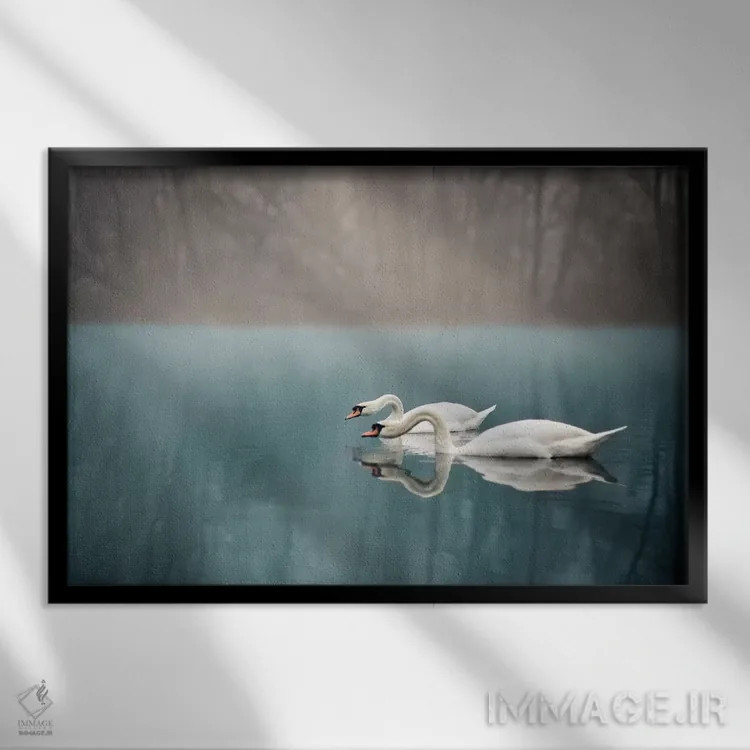 تابلو رودخانه قوها اثر انزو رومانو - نمای قابدار مشکی