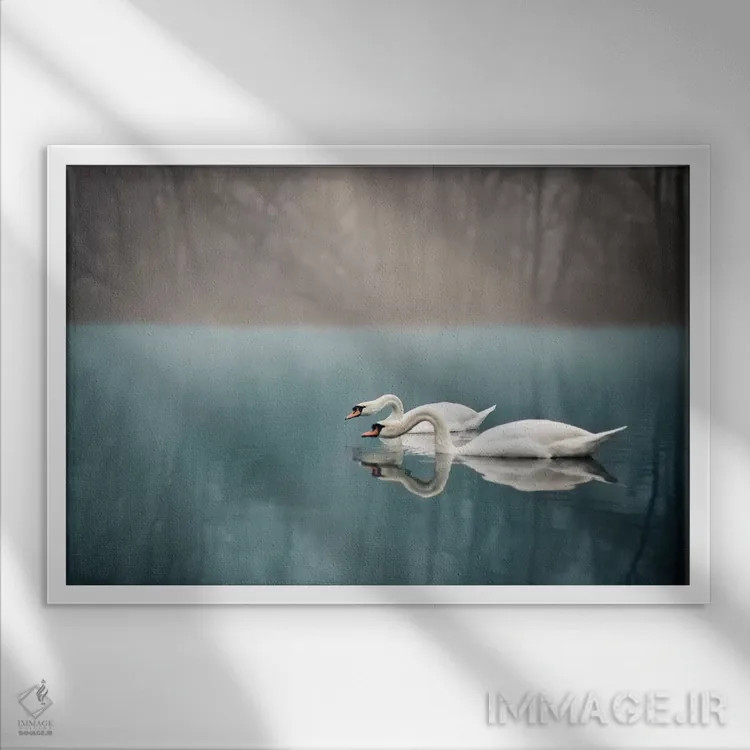 تابلو رودخانه قوها اثر انزو رومانو - نمای قابدار سفید