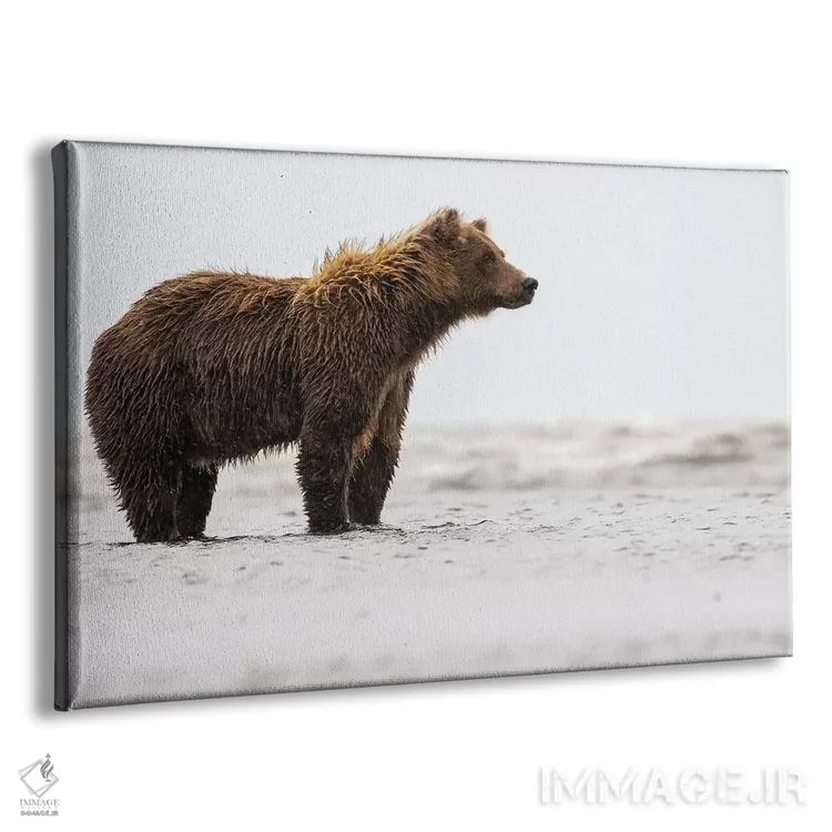 تابلو خرس در آب اثر اریک فیشر - نمای پرسپکتیو محصول