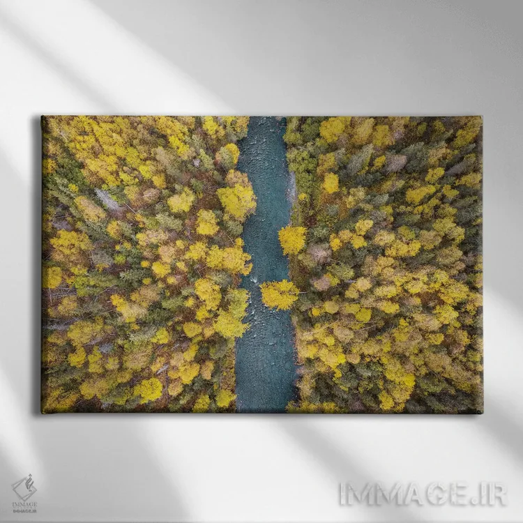 تابلو پاییز آلاسکا از بالا اثر اریک فیشر - نمای روبهرو روی دیوار