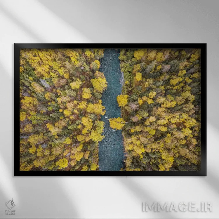 تابلو پاییز آلاسکا از بالا اثر اریک فیشر - نمای قابدار مشکی