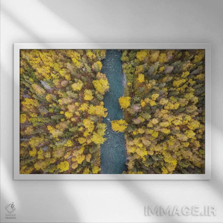 تابلو پاییز آلاسکا از بالا اثر اریک فیشر - نمای قابدار سفید