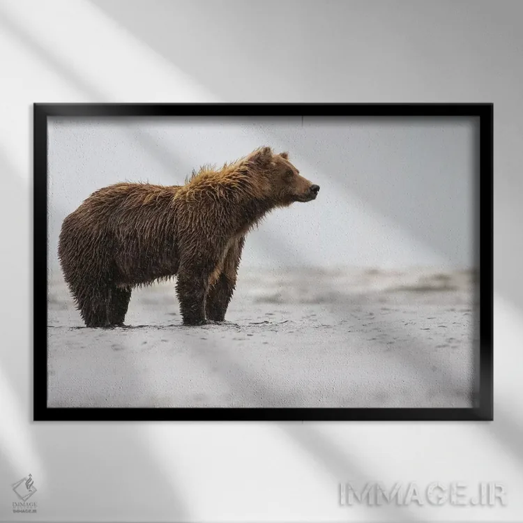 تابلو خرس در آب اثر اریک فیشر - نمای قابدار مشکی