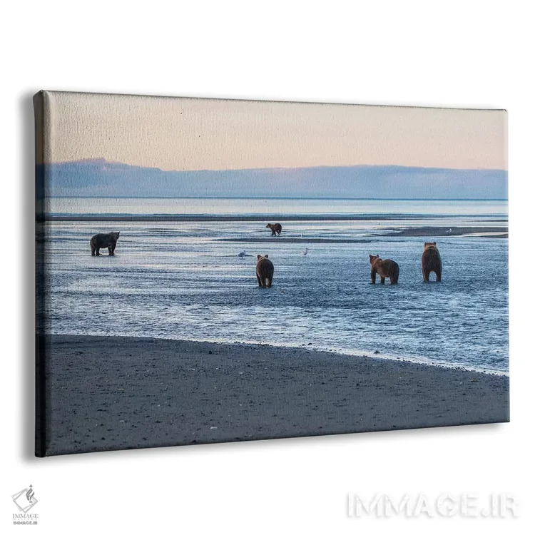 تابلو خرسها در حال ماهیگیری اثر اریک فیشر - نمای پرسپکتیو محصول
