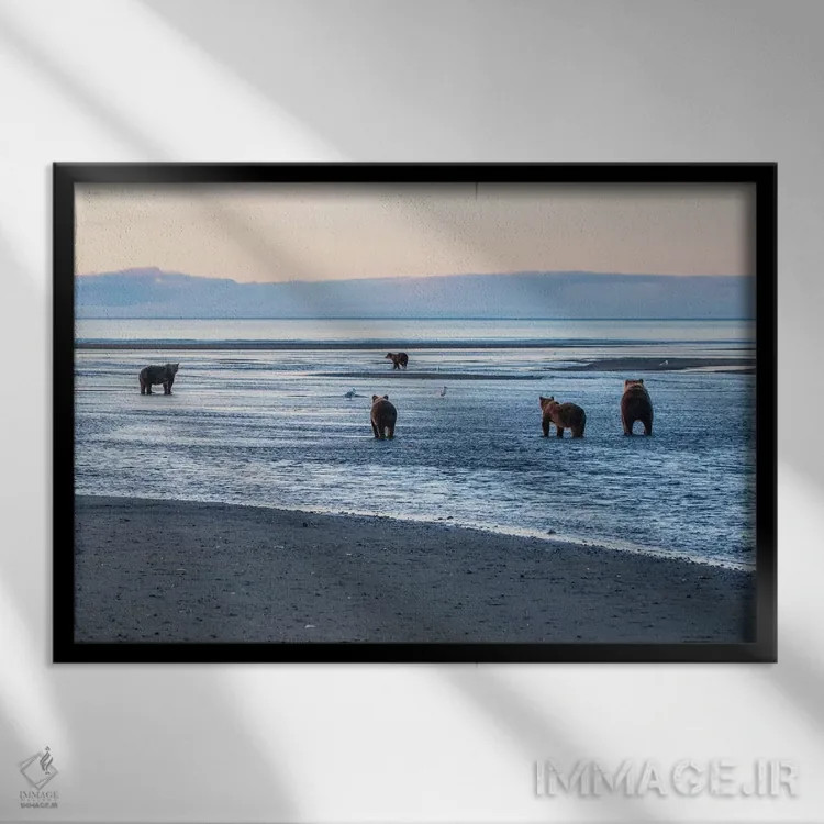 تابلو خرسها در حال ماهیگیری اثر اریک فیشر - نمای قابدار مشکی