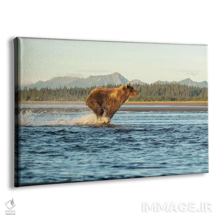 تابلو خرس آلاسکایی در حال دویدن اثر اریک فیشر - نمای پرسپکتیو محصول