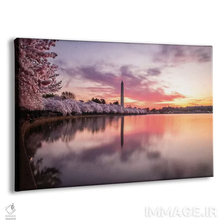 تابلو شکوفههای گیلاس، بنای یادبود واشنگتن اثر اریک فیشر - نمای پرسپکتیو محصول