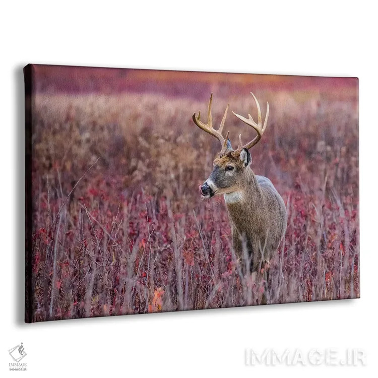 تابلو گوزن نر پاییزی اثر اریک فیشر - نمای پرسپکتیو محصول