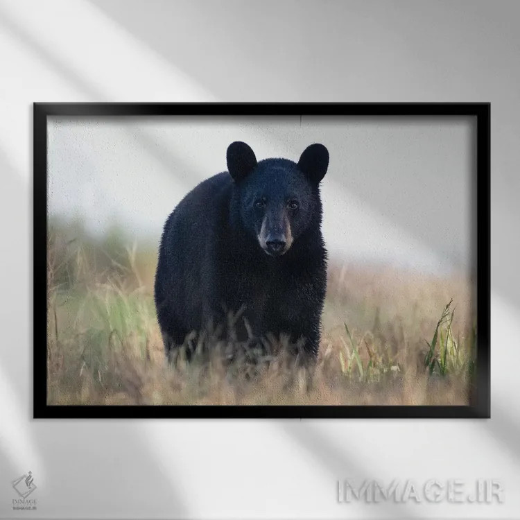 تابلو توله خرس سیاه اثر اریک فیشر - نمای قابدار مشکی