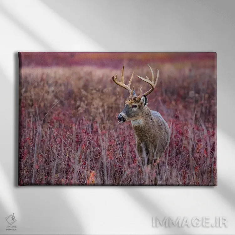 تابلو گوزن نر پاییزی اثر اریک فیشر - نمای روبهرو روی دیوار