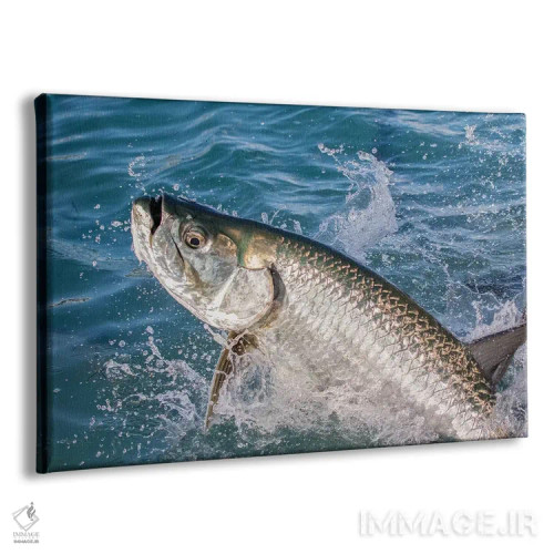 تابلو تارپون در فلوریدا کیز (ماهی) اثر اریک فیشر - نمای پرسپکتیو محصول