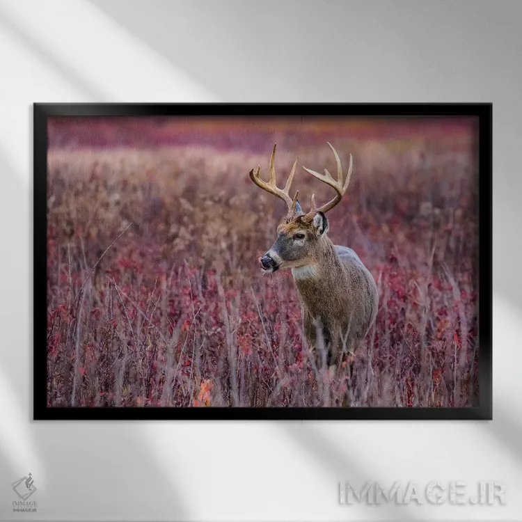 تابلو گوزن نر پاییزی اثر اریک فیشر - نمای قابدار مشکی