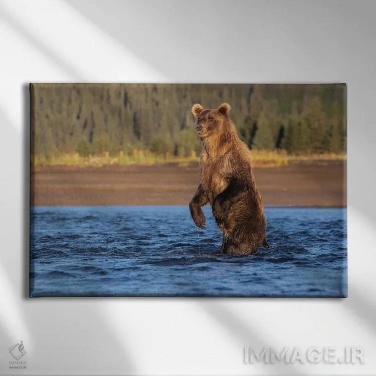 تابلو خرس ایستاده آلاسکا اثر اریک فیشر - نمای روبهرو روی دیوار