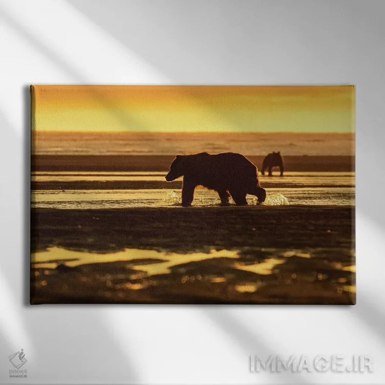 تابلو خرس طلایی اثر اریک فیشر - نمای روبهرو روی دیوار