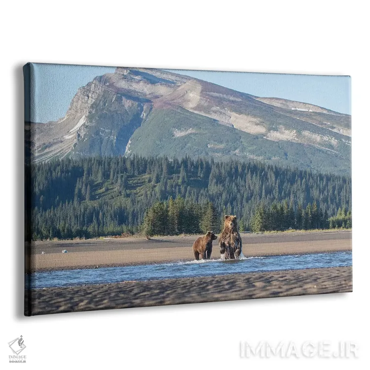 تابلو خرسهای آلاسکا و کوهستان اثر اریک فیشر - نمای پرسپکتیو محصول