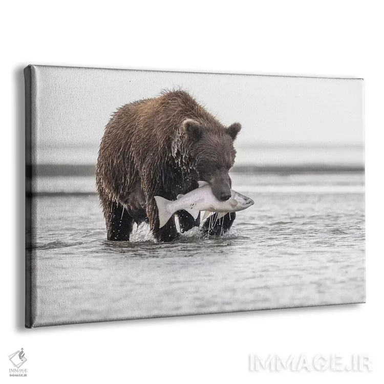 تابلو خرس گریزلی با یک ماهی سالمون اثر اریک فیشر - نمای پرسپکتیو محصول