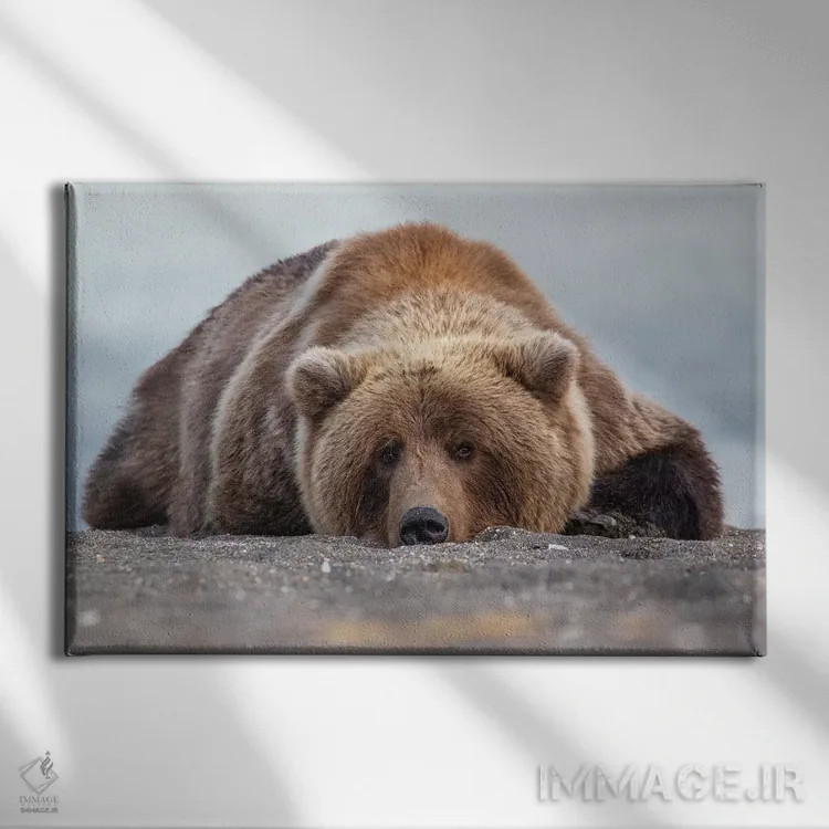 تابلو خرس گریزلی در آلاسکا اثر اریک فیشر - نمای روبهرو روی دیوار