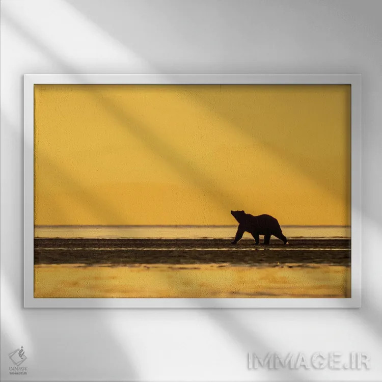 تابلو خرس گریزلی طلایی اثر اریک فیشر - نمای قابدار سفید