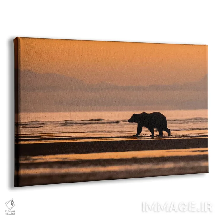 تابلو خرس نارنجی آلاسکا اثر اریک فیشر - نمای پرسپکتیو محصول