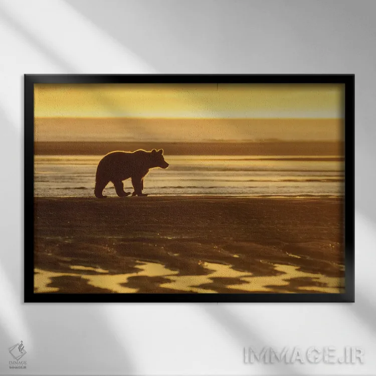 تابلو خرس کنار ساحل در صبح اثر اریک فیشر - نمای قابدار مشکی