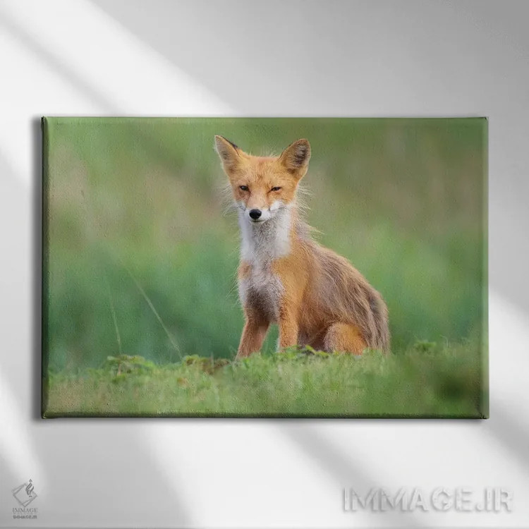 تابلو روباه قرمز در میان علفها اثر اریک فیشر - نمای روبهرو روی دیوار