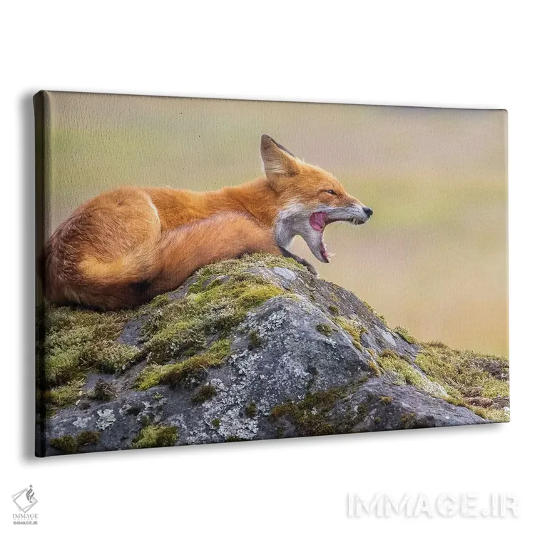 تابلو خمیازه روباه قرمز اثر اریک فیشر - نمای پرسپکتیو محصول