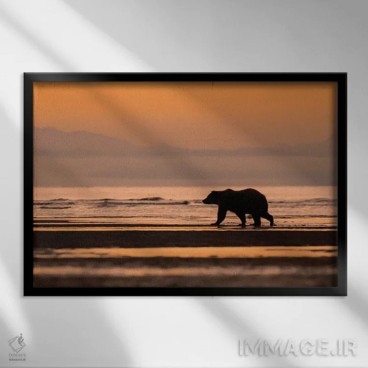 تابلو خرس نارنجی آلاسکا اثر اریک فیشر - نمای قابدار مشکی