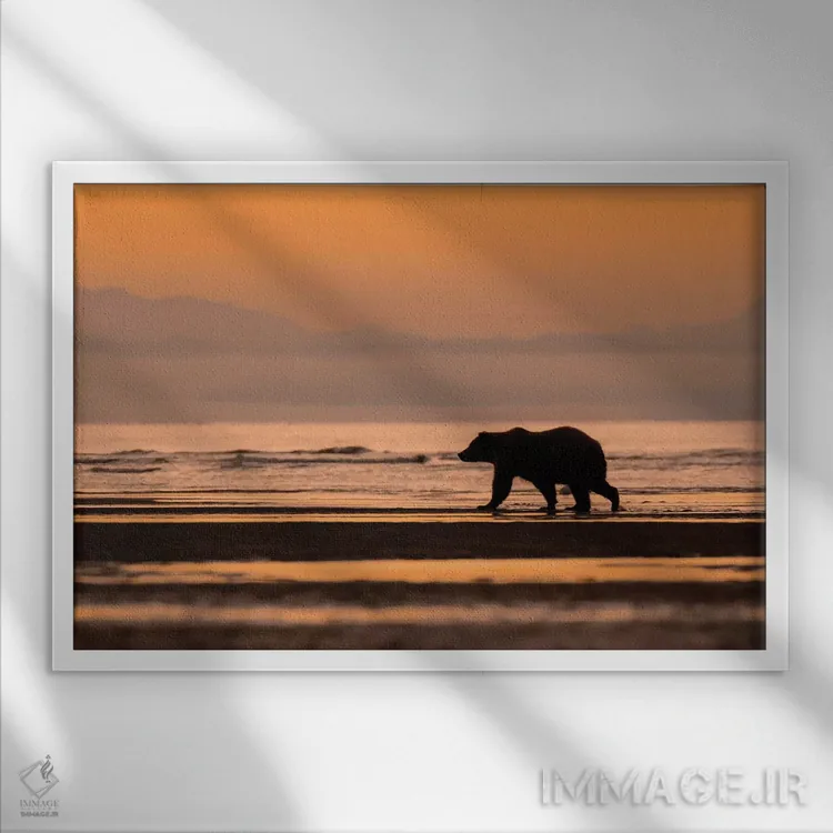 تابلو خرس نارنجی آلاسکا اثر اریک فیشر - نمای قابدار سفید