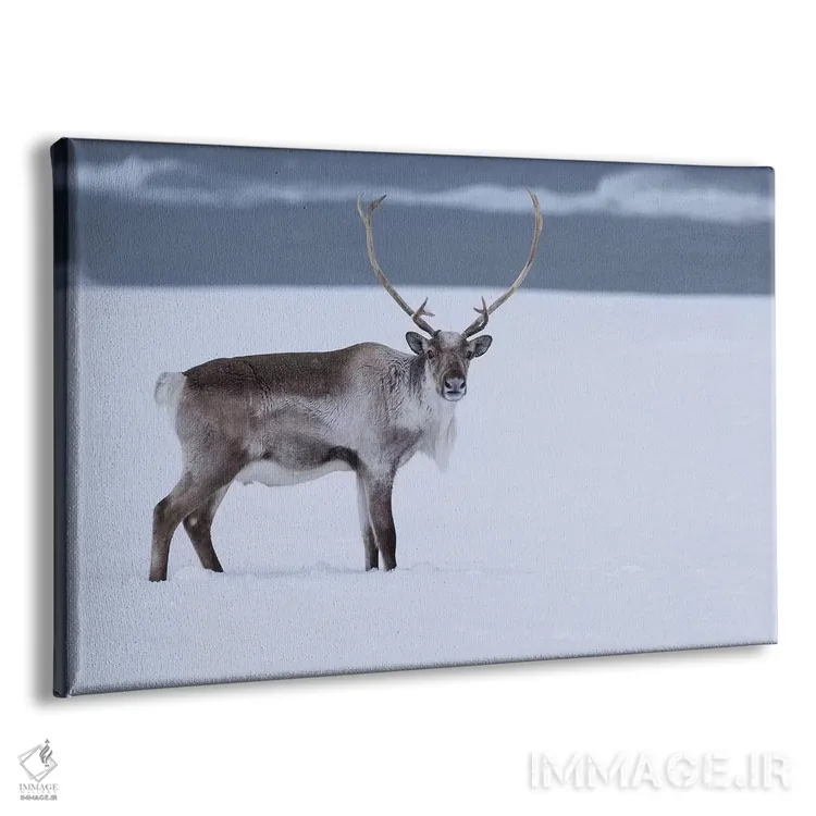 تابلو گوزن شمالی در برف اثر اریک فیشر - نمای پرسپکتیو محصول