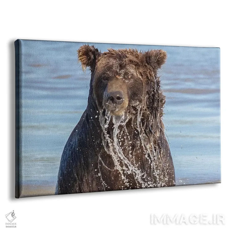 تابلو خرس گریزلی خیس اثر اریک فیشر - نمای پرسپکتیو محصول