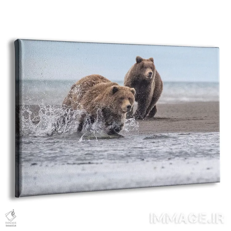تابلو خرس در حال دویدن اثر اریک فیشر - نمای پرسپکتیو محصول