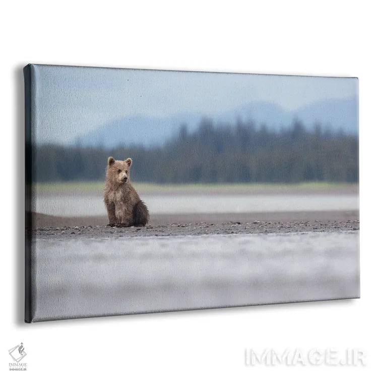 تابلو توله خرس آلاسکا و کوهها اثر اریک فیشر - نمای پرسپکتیو محصول
