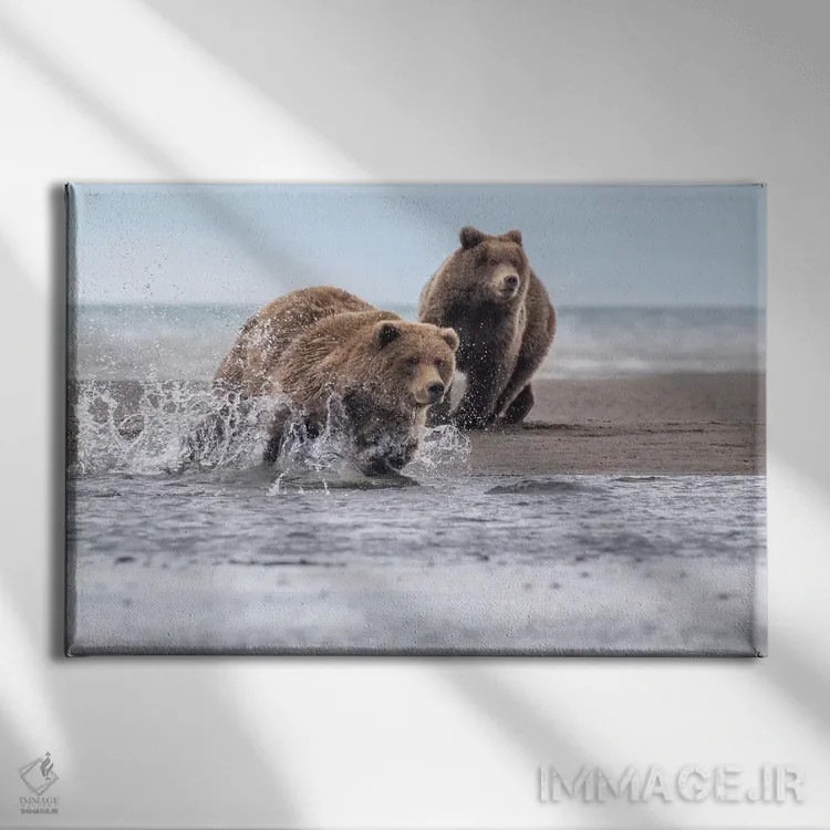 تابلو خرس در حال دویدن اثر اریک فیشر - نمای روبهرو روی دیوار