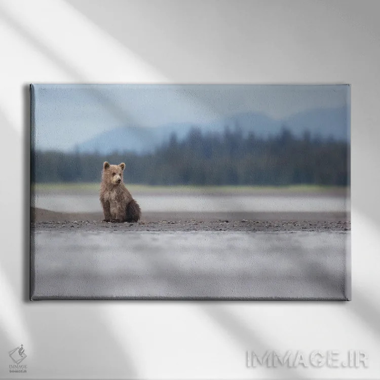 تابلو توله خرس آلاسکا و کوهها اثر اریک فیشر - نمای روبهرو روی دیوار