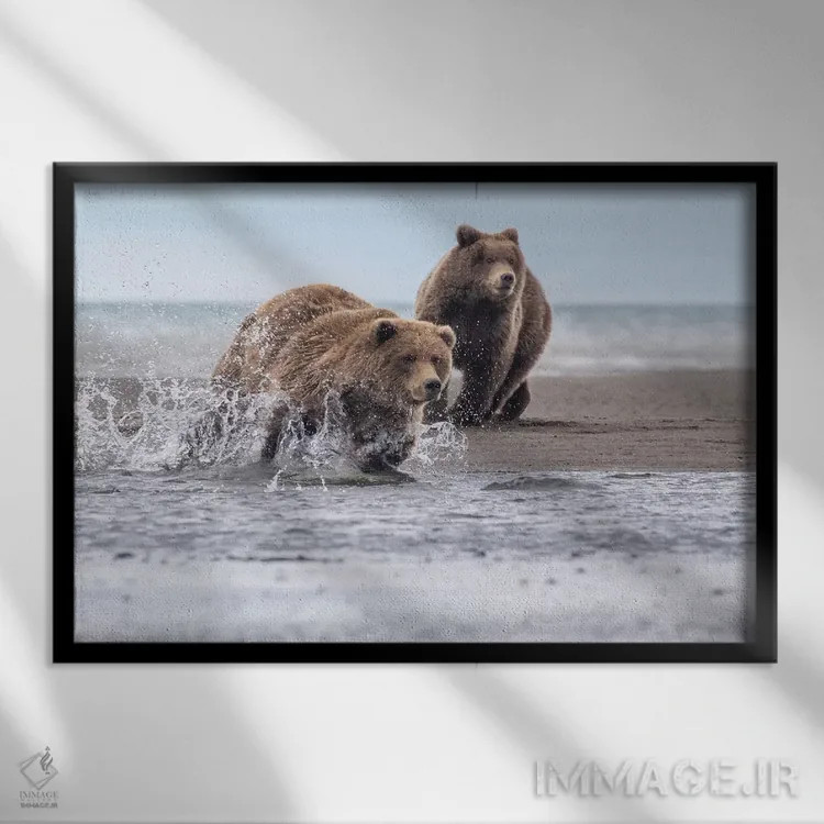 تابلو خرس در حال دویدن اثر اریک فیشر - نمای قابدار مشکی
