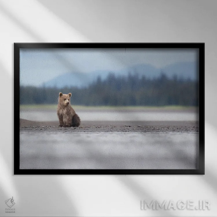 تابلو توله خرس آلاسکا و کوهها اثر اریک فیشر - نمای قابدار مشکی