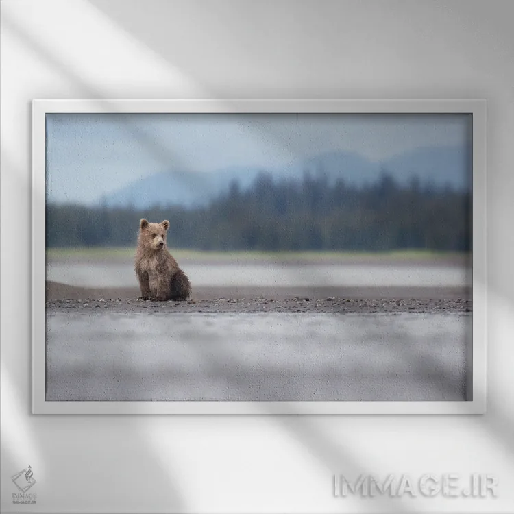 تابلو توله خرس آلاسکا و کوهها اثر اریک فیشر - نمای قابدار سفید