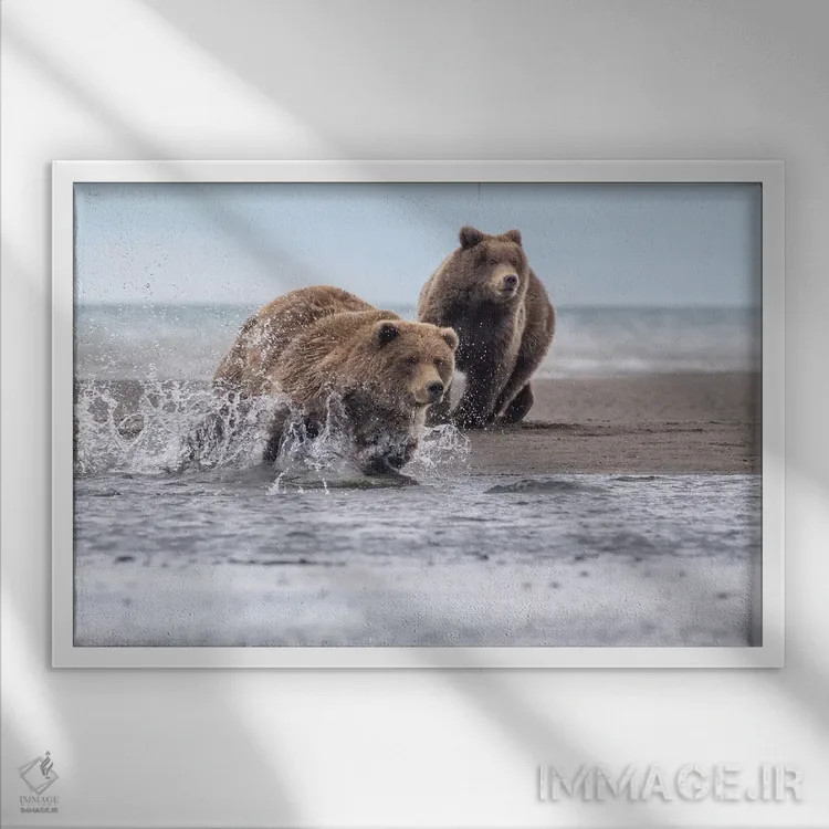 تابلو خرس در حال دویدن اثر اریک فیشر - نمای قابدار سفید