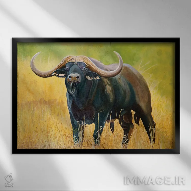 تابلو گاو کوهاندار آمریکایی اثر اوگنیا روسلیک - نمای قابدار مشکی