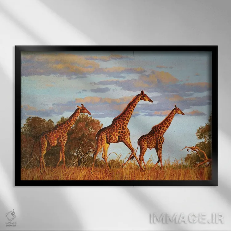 تابلو زرافهها اثر اوگنیا روسلیک - نمای قابدار مشکی