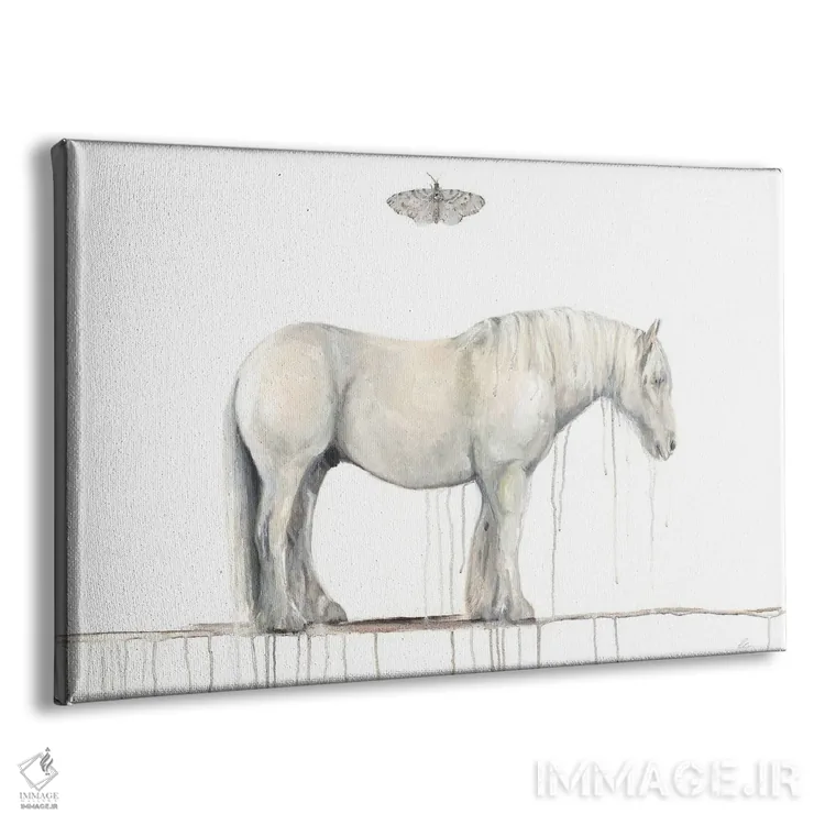 تابلو اسب خاکستری و شاپرک اثر امیلی رید - نمای پرسپکتیو محصول